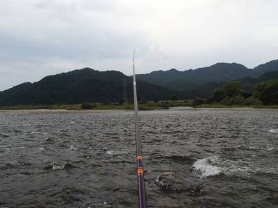 子持鮎14匹：2020年鮎釣り竿収め＠新潟