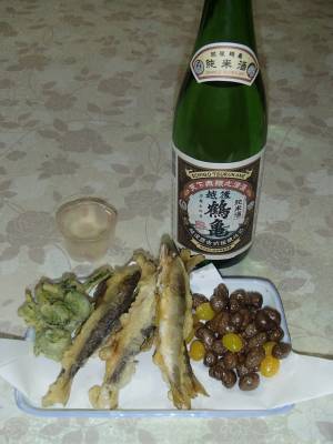 小鮎とコゴミの天ぷら、ムカゴギンナン揚げでいただく越後鶴亀＠新潟