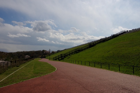 狭山公園 ~ 2014年 春 ~ 狭山公園 ~ 2014年 春 ~