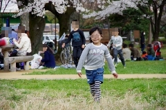 狭山公園 ~ 2014年 春 ~ 狭山公園 ~ 2014年 春 ~