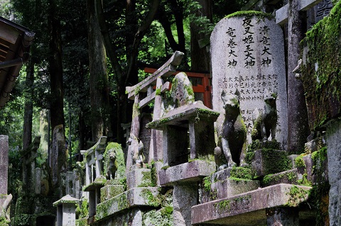 【山食行路】第2座 京都トレイル 【山食行路】第2座 京都トレイル