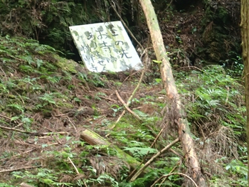 修行の道を行く 修行の道を行く