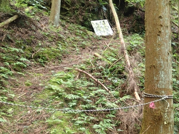 修行の道を行く 修行の道を行く