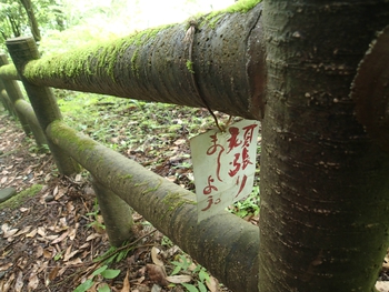 修行の道を行く 修行の道を行く