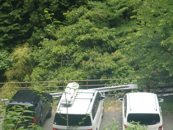 修行の道を行く 修行の道を行く