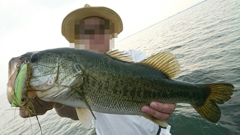 釣らなきゃ!(焦り) 釣らなきゃ!(焦り)
