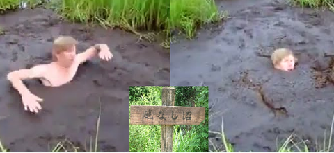 沼 沼