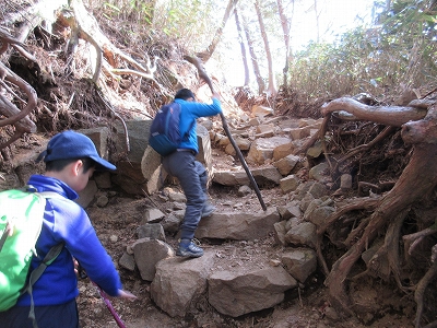 子供と登山　金時山　絶景富士山を見て