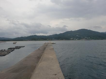 水曜の休みに・・・