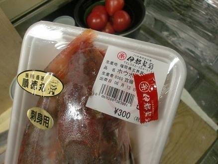 終盤のイカ と癒し