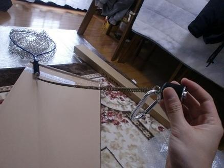 ゴールデンミーン