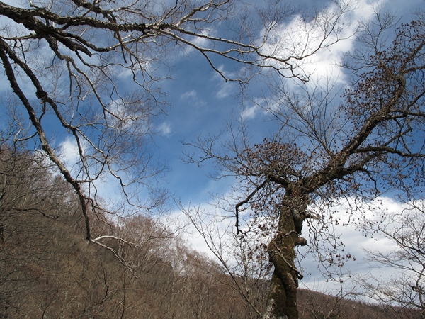 2012/3/24～25　鴨沢～雲取山　vol.2