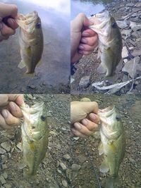 やっぱ場所じゃね?
