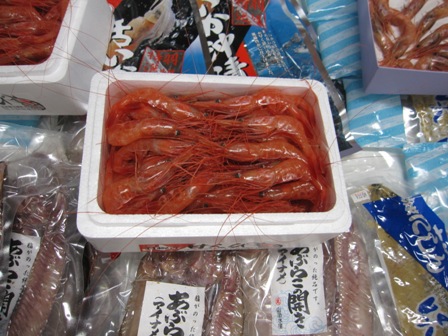 道北旅行