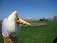 洞爺湖キャンプ