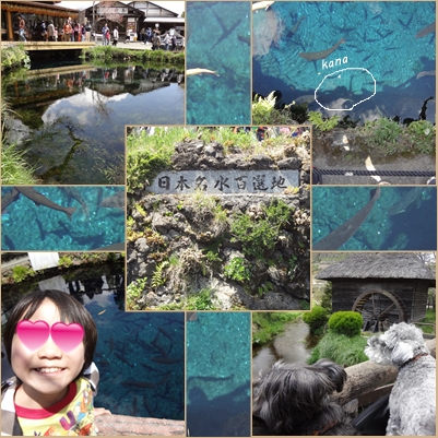 GWキャンプ