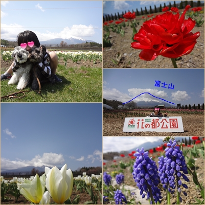 GWキャンプ