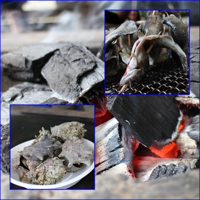 魚魚の里