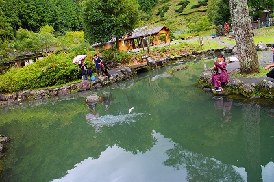 魚魚の里