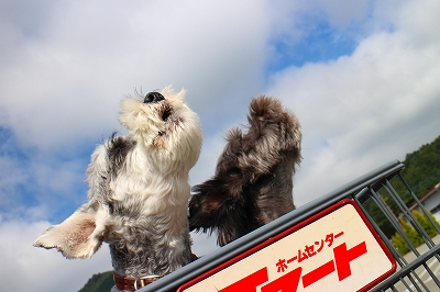 温泉車中泊 in 河口湖