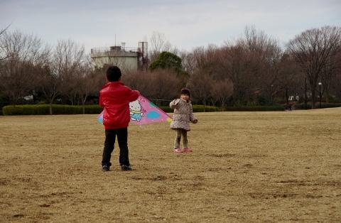 Picnic