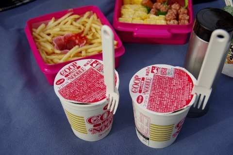 Picnic