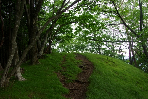 川苔山 (蕎麦粒山~日向ノ峰~川苔山)