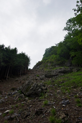 川苔山 (蕎麦粒山~日向ノ峰~川苔山)