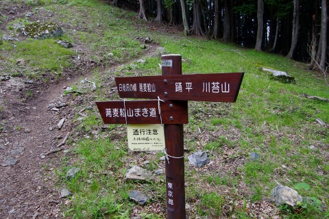 川苔山 (蕎麦粒山~日向ノ峰~川苔山)