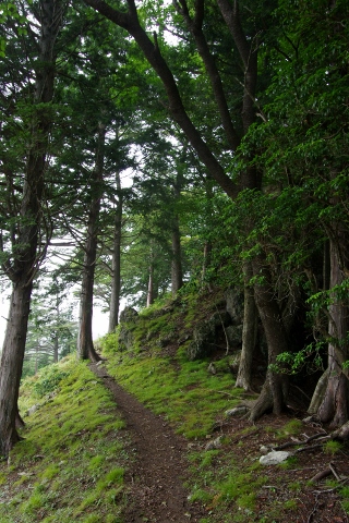 川苔山 (蕎麦粒山~日向ノ峰~川苔山)