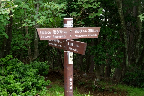 川苔山 (蕎麦粒山~日向ノ峰~川苔山)