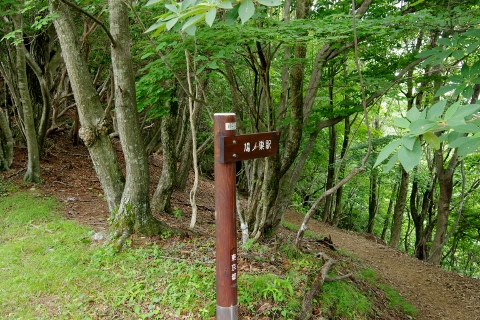 川苔山 (蕎麦粒山~日向ノ峰~川苔山)