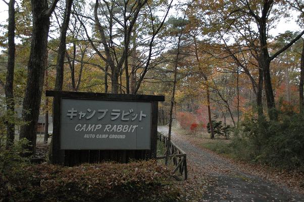 秋キャンプ　2011・11・13