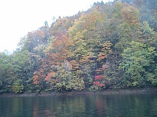 桧原湖 おかっぱり 晩秋