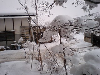 連休 小旅行 盛岡