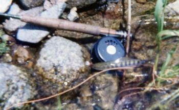 FLY FISHING はじめました!