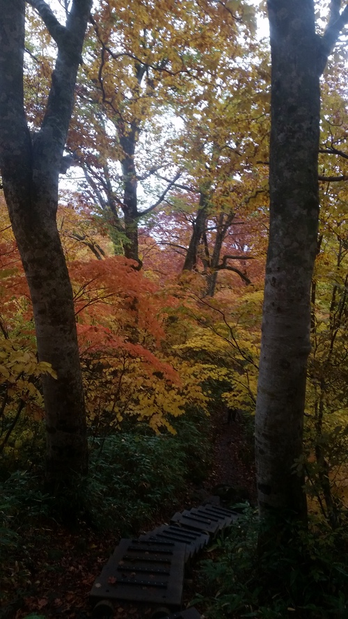 火打山・妙高山 トレッキング 火打山・妙高山 トレッキング
