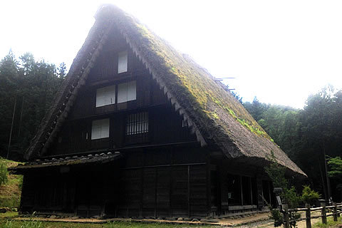 黄缶グルキャン(3) 2015年7月20日 平湯キャンプ場、高山観光