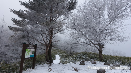 クリボッチな粉雪ハイク 湯の丸山と烏帽子岳 クリボッチな粉雪ハイク 湯の丸山と烏帽子岳