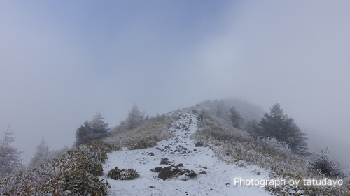 クリボッチな粉雪ハイク 湯の丸山と烏帽子岳 クリボッチな粉雪ハイク 湯の丸山と烏帽子岳
