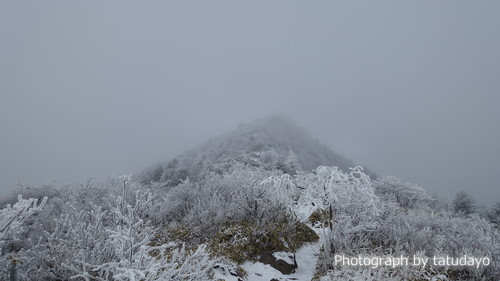 クリボッチな粉雪ハイク 湯の丸山と烏帽子岳 クリボッチな粉雪ハイク 湯の丸山と烏帽子岳