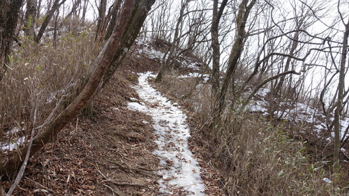 荒船山 午後ハイク 荒船山 午後ハイク