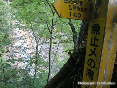 餓鬼岳日帰りピストン-2 餓鬼岳日帰りピストン-2