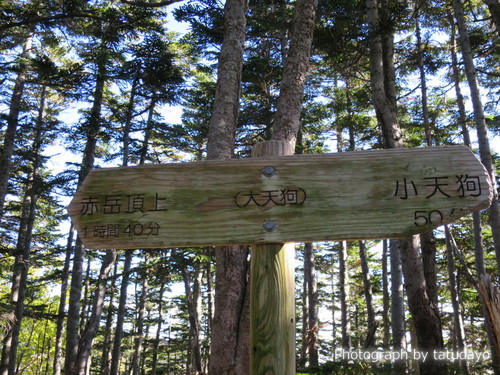 赤岳(登り県界尾根→下り真教寺尾根) 登り編 赤岳(登り県界尾根→下り真教寺尾根) 登り編