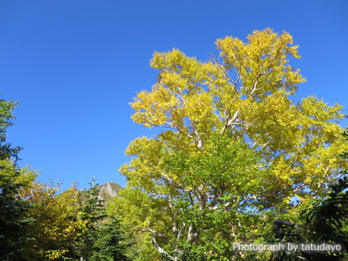 赤岳(登り県界尾根→下り真教寺尾根) 登り編 赤岳(登り県界尾根→下り真教寺尾根) 登り編