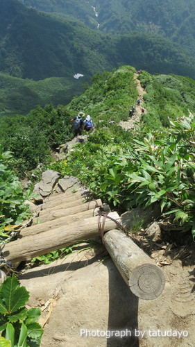 濃い緑と花々そして北アルプスを眺めに雨飾山へ - 下山編 濃い緑と花々そして北アルプスを眺めに雨飾山へ - 下山編