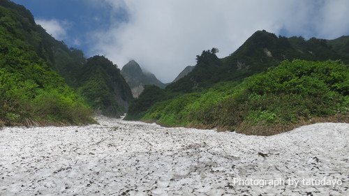 濃い緑と花々そして北アルプスを眺めに雨飾山へ - 下山編 濃い緑と花々そして北アルプスを眺めに雨飾山へ - 下山編