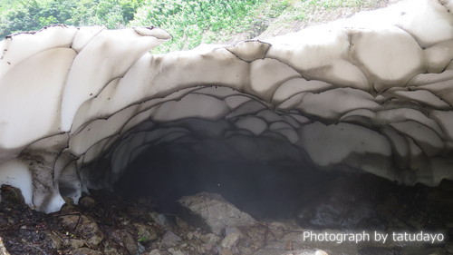 濃い緑と花々そして北アルプスを眺めに雨飾山へ - 下山編 濃い緑と花々そして北アルプスを眺めに雨飾山へ - 下山編