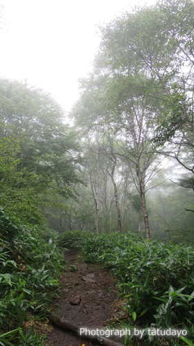 湯の丸山と烏帽子岳 湯の丸山と烏帽子岳