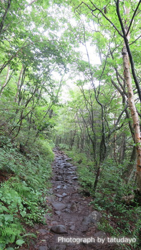 湯の丸山と烏帽子岳 湯の丸山と烏帽子岳